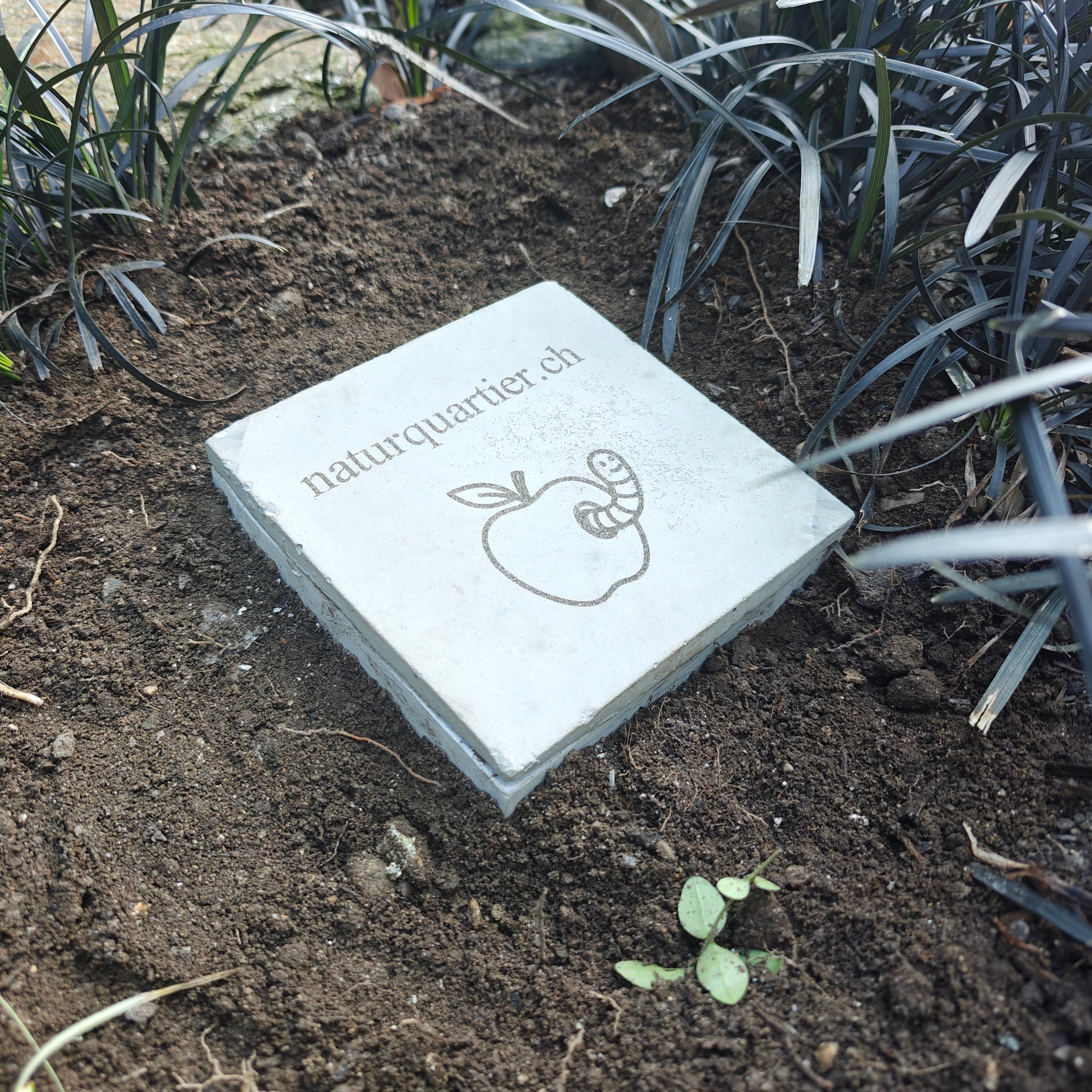 Wurmröhre – natürlicher Komposthelfer für deinen Garten